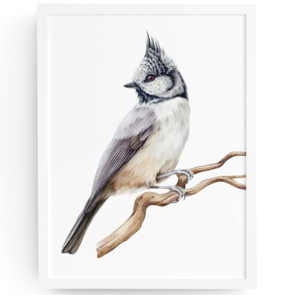 Other - Crested Tit Bird Wall Art Watercolor Illustration Print Poster Card Unframed